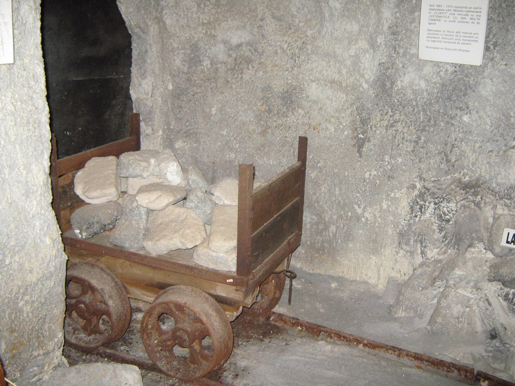 Muzeul Sarii Slanic