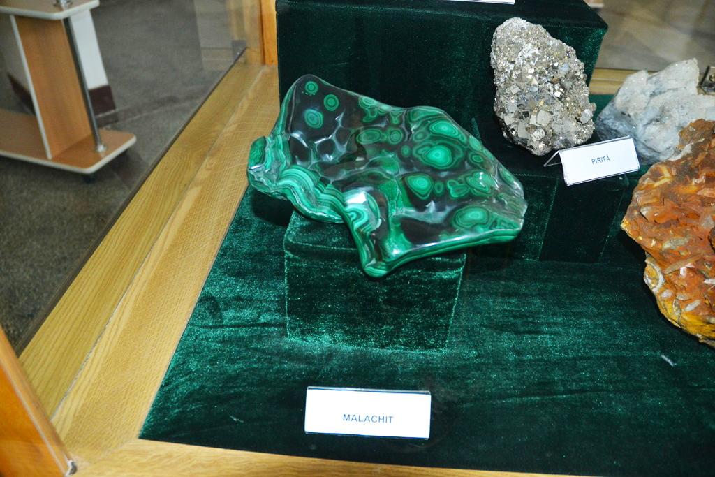 Muzeul Flori de Mina