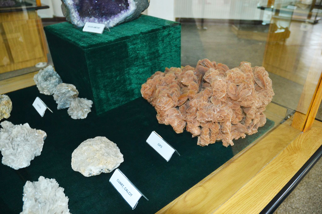 Muzeul Flori de Mina