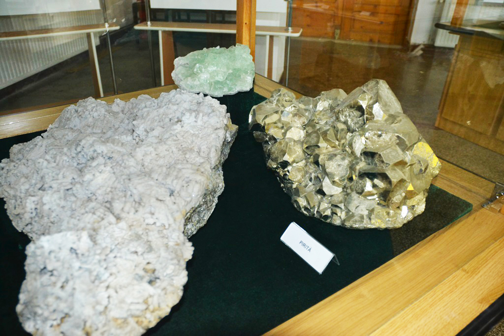 Muzeul Flori de Mina