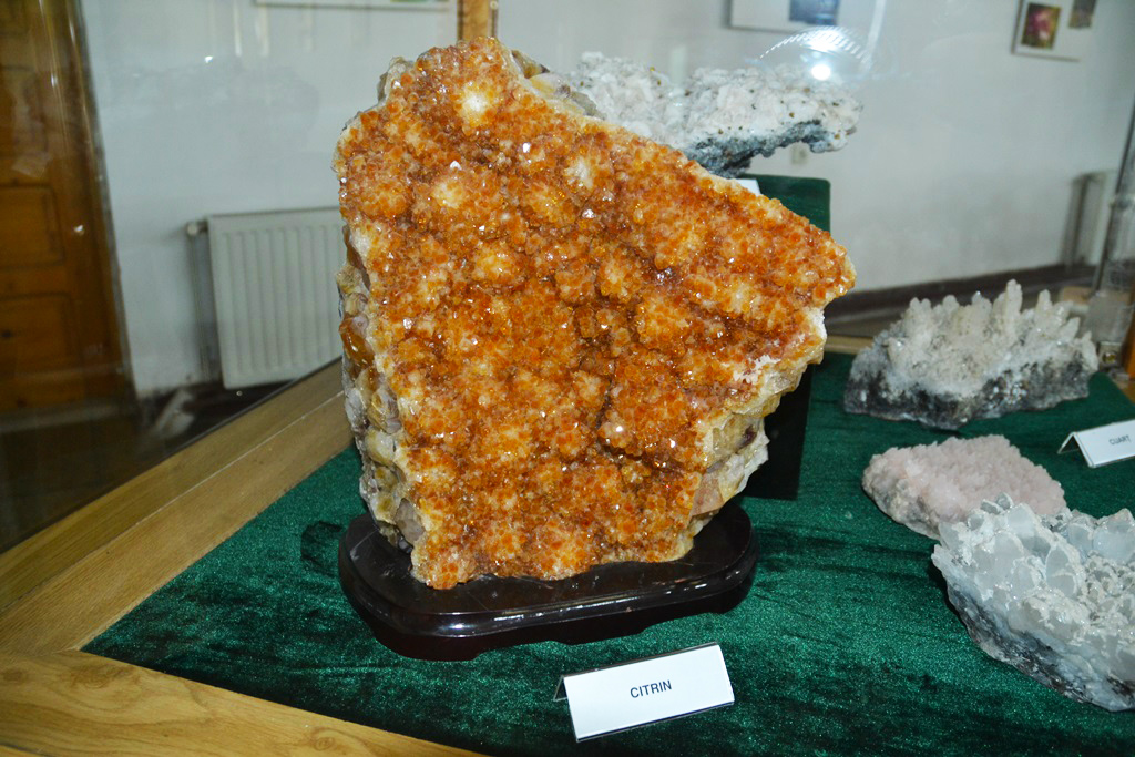 Muzeul Flori de Mina