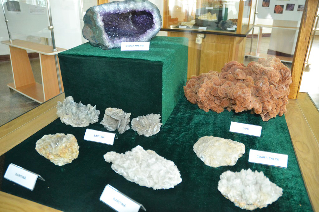 Muzeul Flori de Mina