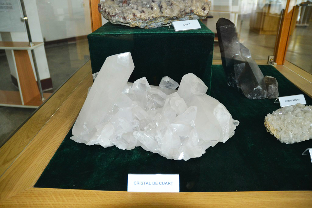 Muzeul Flori de Mina