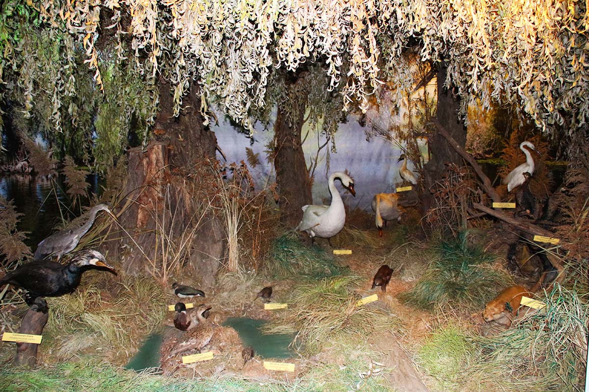 Centrul Muzeal Ecoturistic Delta Dunarii
