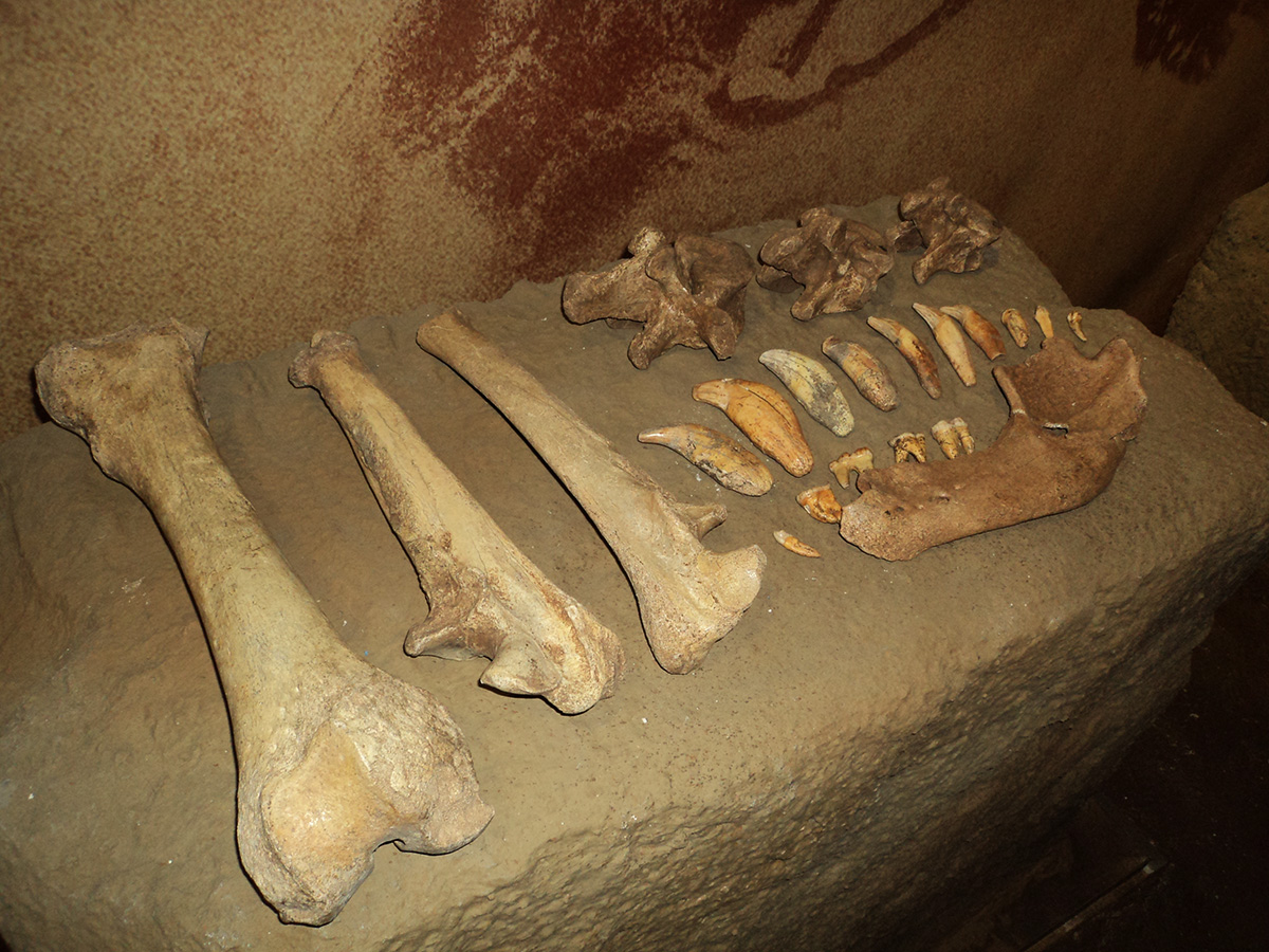 Muzeul Evolutiei Omului si Tehnologiei in Paleolitic
