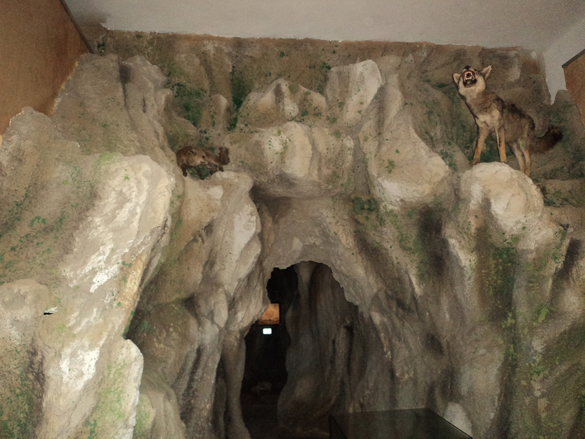 Muzeul Evolutiei Omului si Tehnologiei in Paleolitic