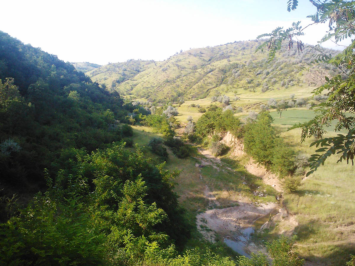 Rezervatia Arheologica Budureasca