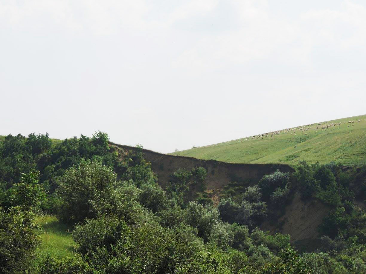 Rezervatia Arheologica Budureasca