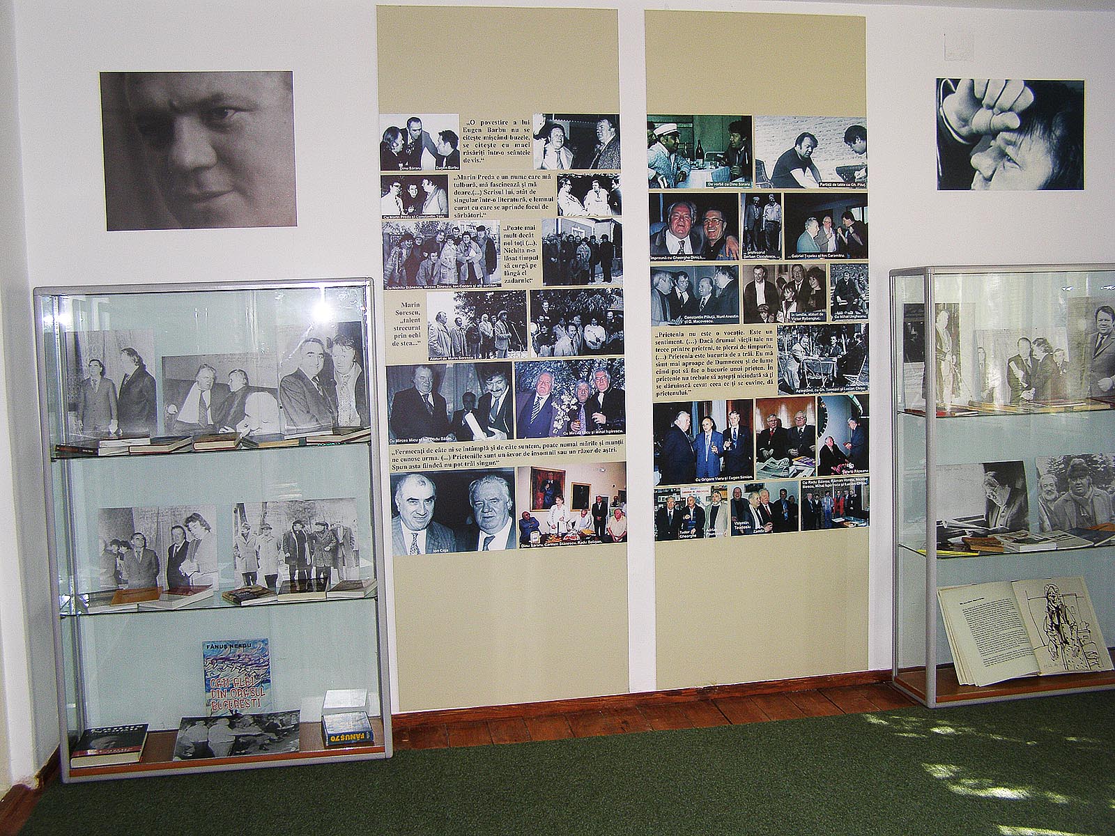 Casa Memoriala Fanus Neagu