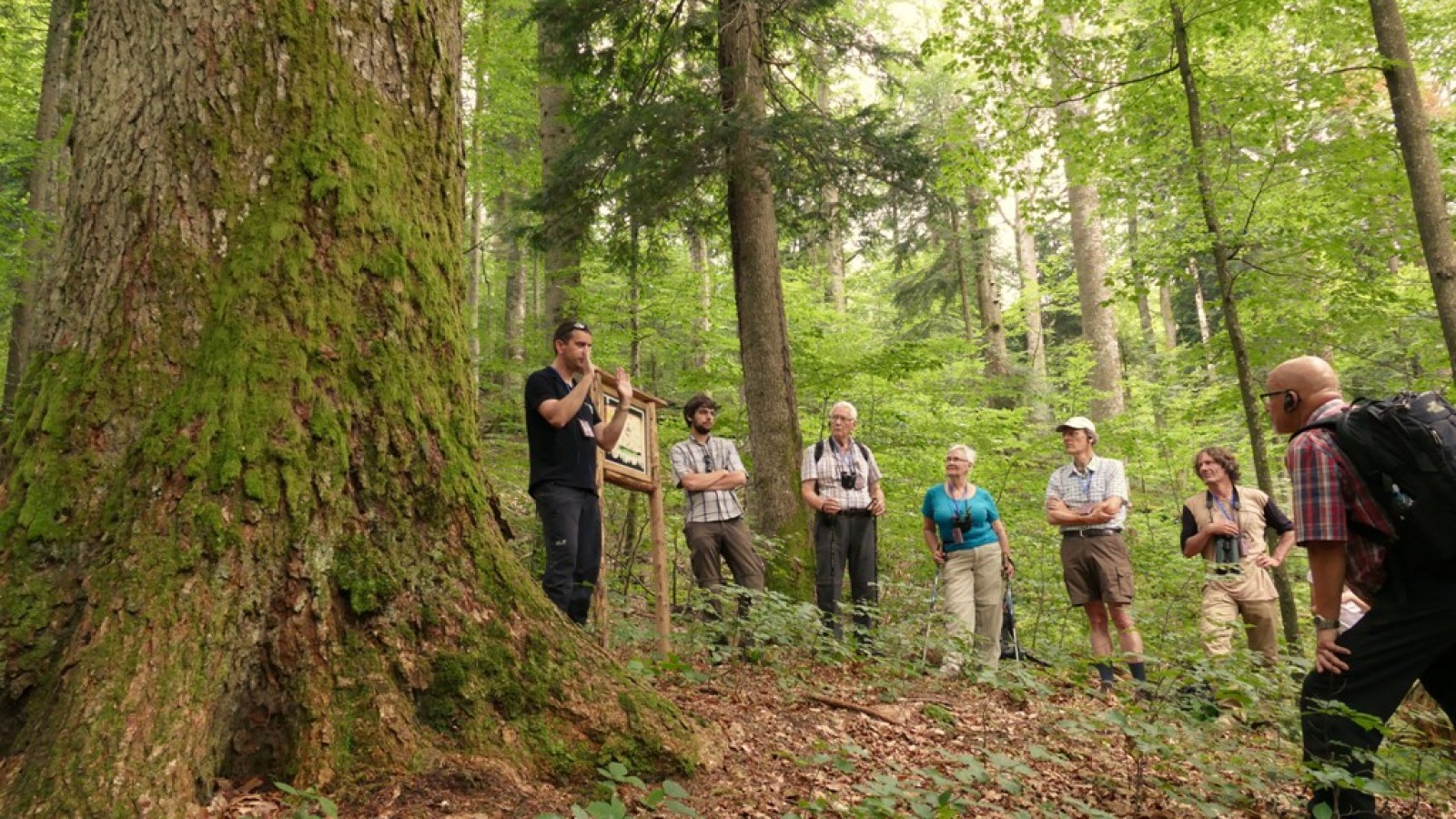 Povestea lemnului - Moștenire vie în Maramureș, patrimoniu UNESCO