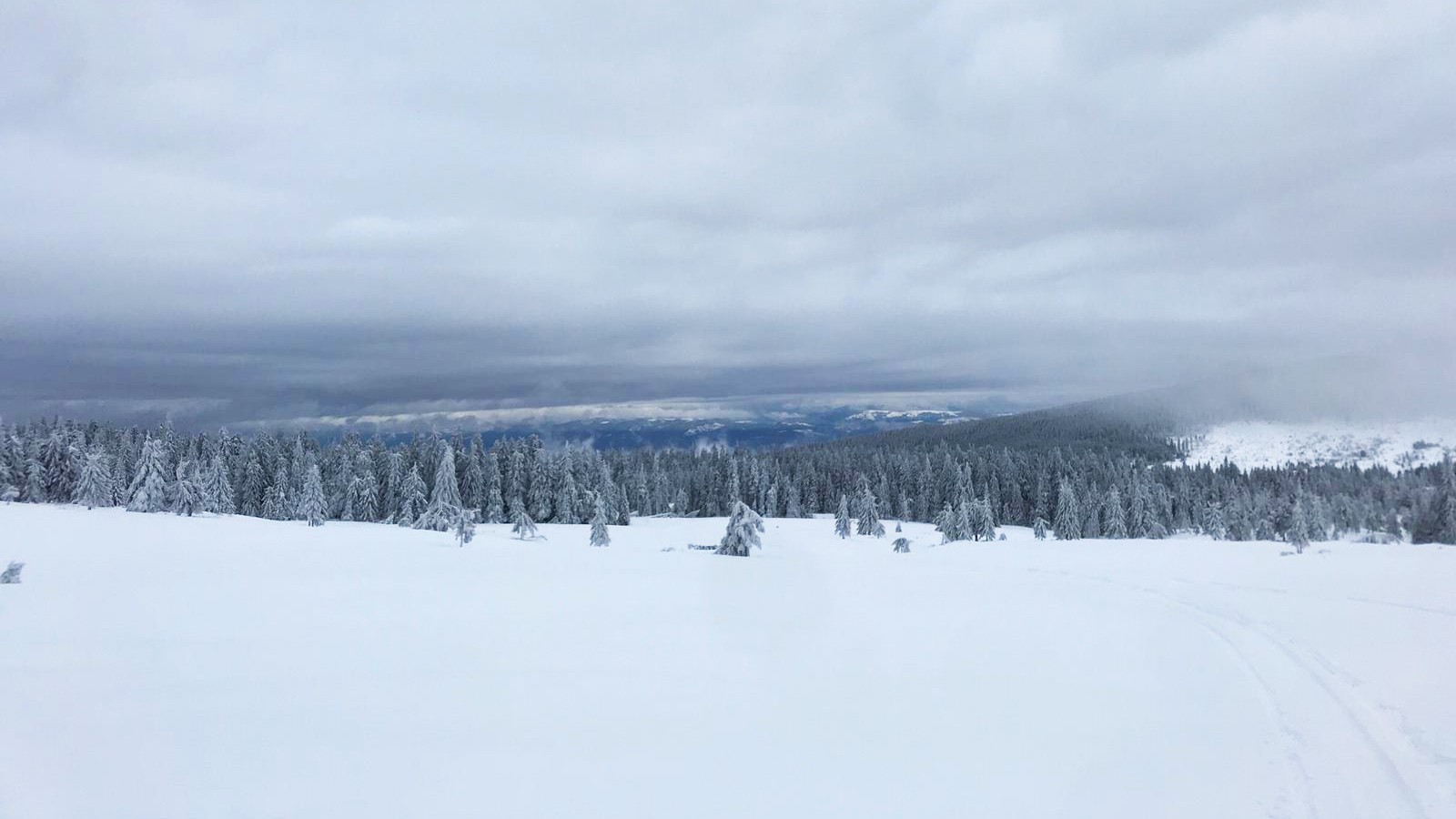 Tururi cu snowmobilul de neuitat în Transilvania