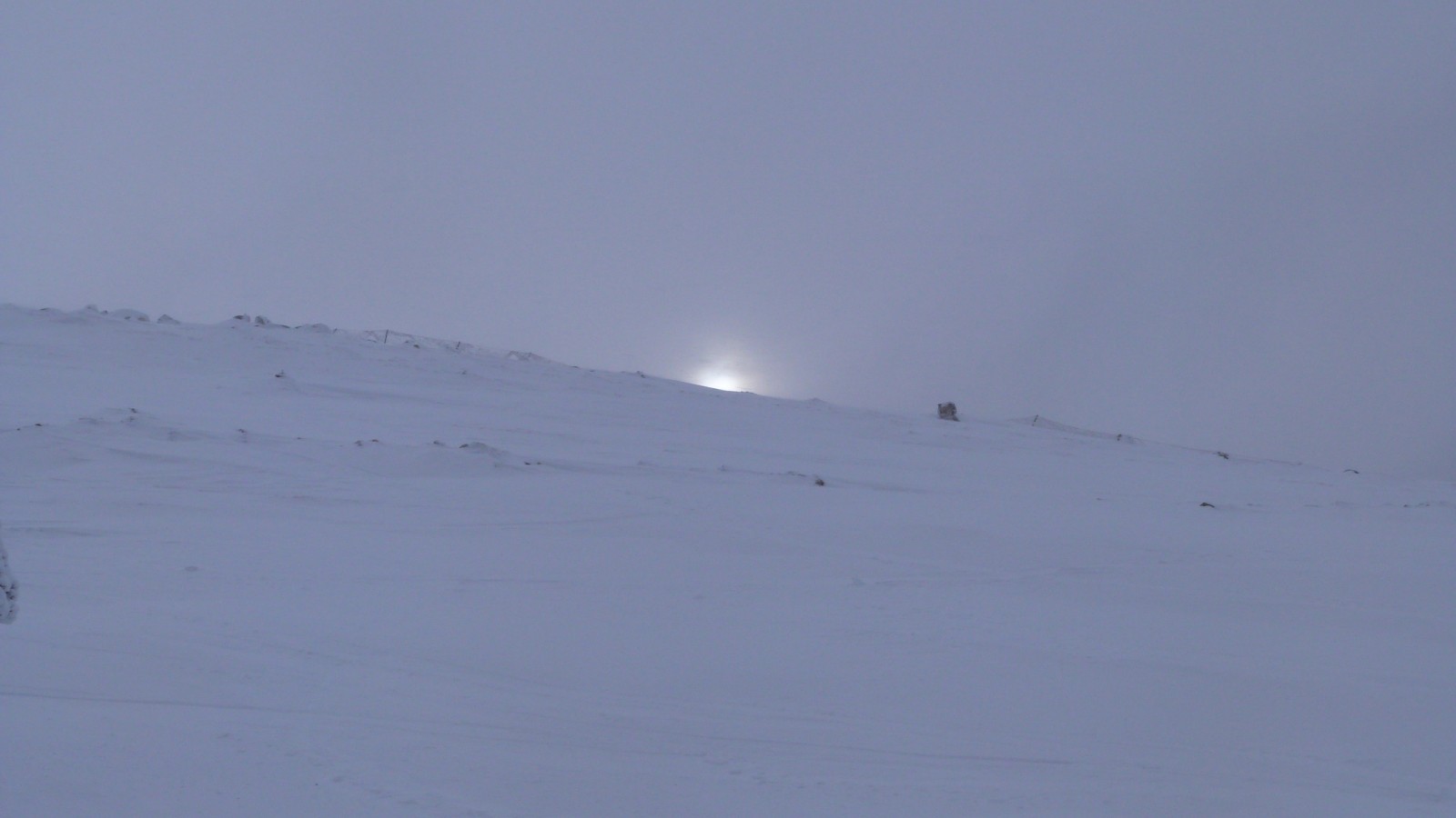 Drumetie prin padurea Dumbrava