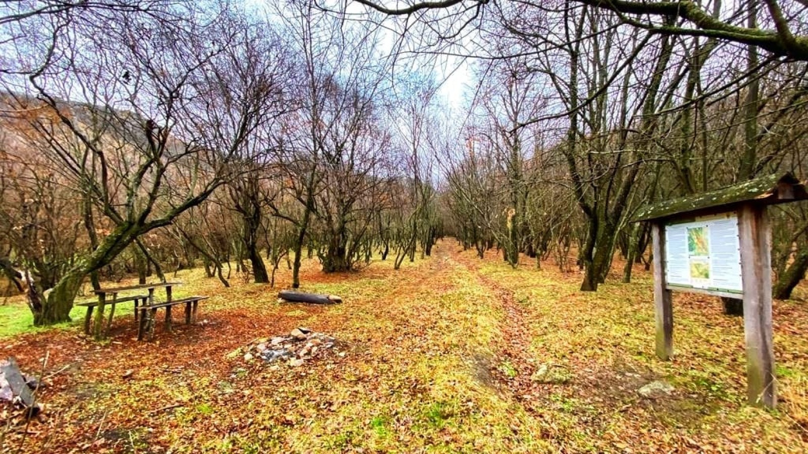 Traseul tematic Poveștile Măcinului (Munții Măcin) pe 13 februarie