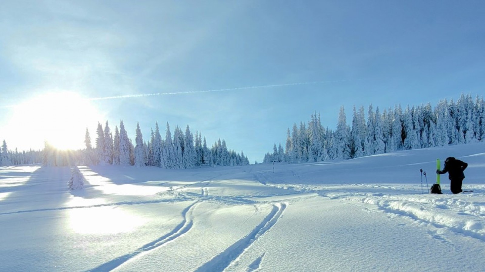 Drumeție pe ski de tură şi rachete de zăpadă in zona Păltiniș