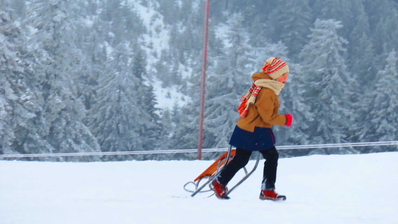 Snowshoeing in Romania