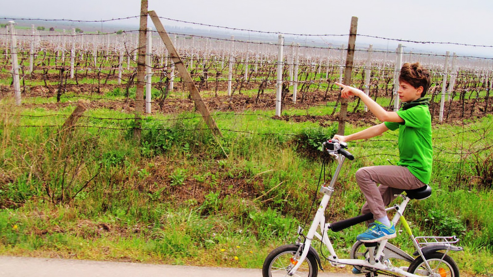 One Day Wine Route by Bike