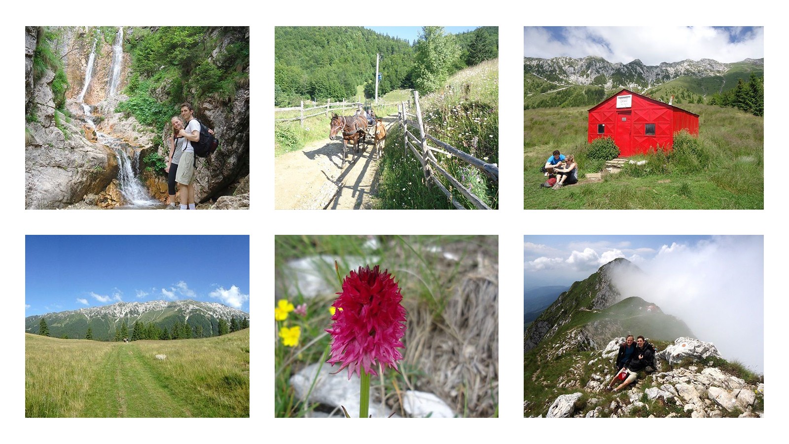 Active trekking tour in Bucegi & Piatra Craiului National Park - 4 days