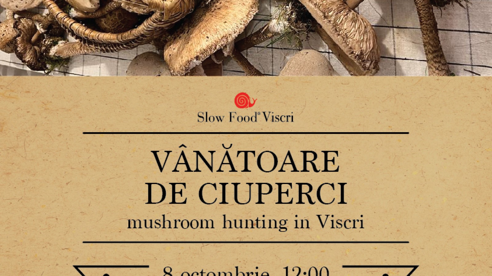 Vanatoare de ciuperci /  Mushroom hunting in Viscri