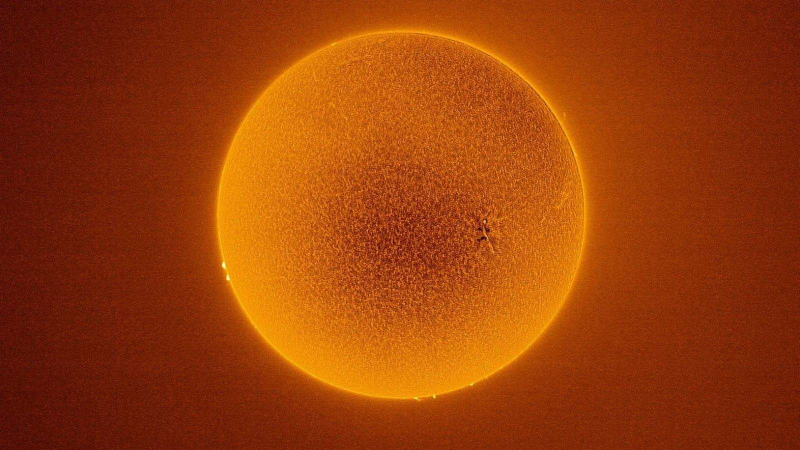 Muzeul „Vasile Pârvan” Bârlad - Observatorul Astronomic