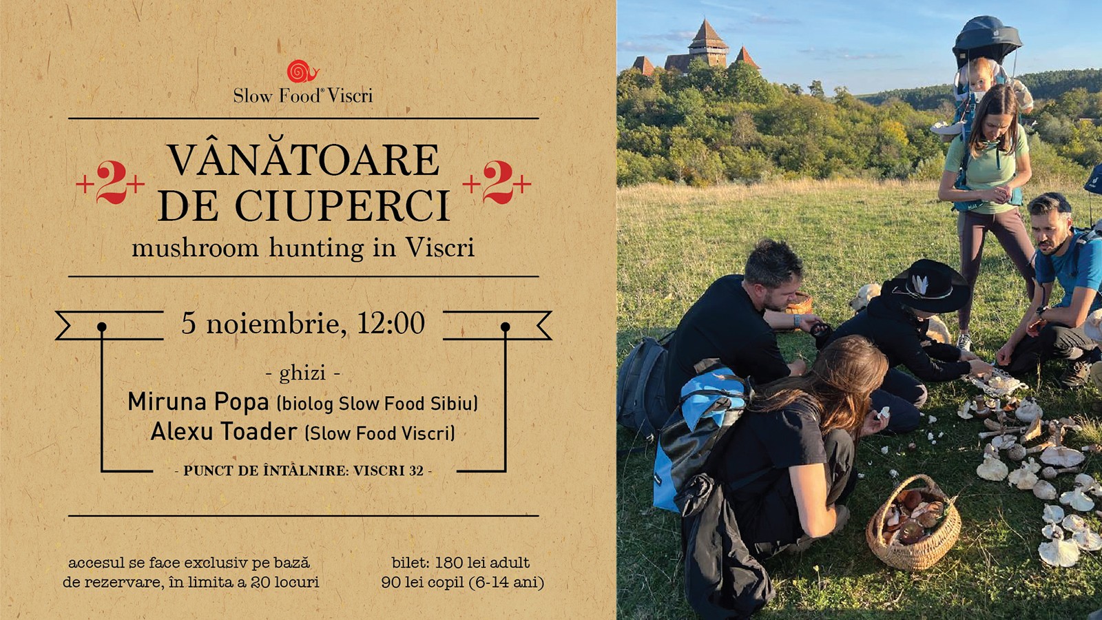 Vanatoare de ciuperci /  Mushroom hunting in Viscri