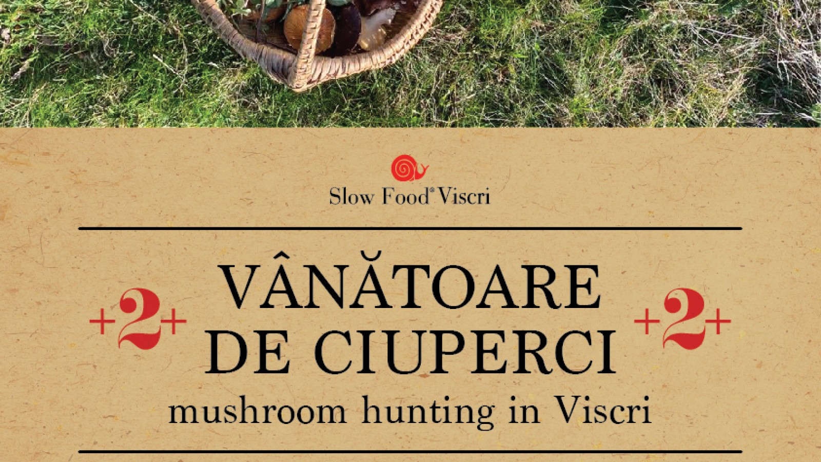 Vanatoare de ciuperci /  Mushroom hunting in Viscri