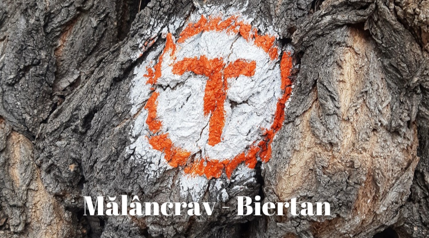 Drumetie pe Via Transilvanica: Malancrav - Biertan
