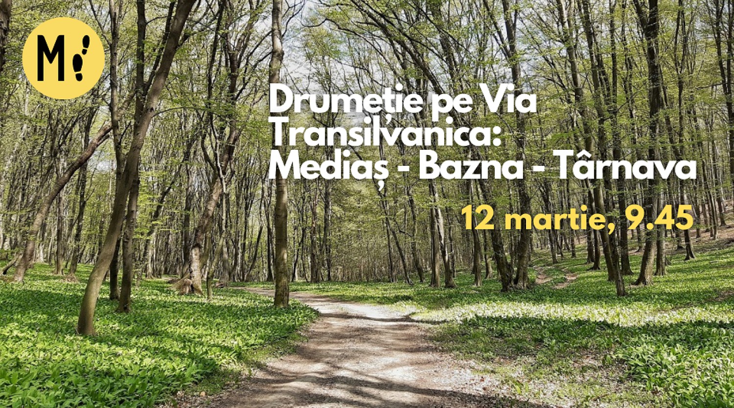Drumeție pe Via Transilvanica: Mediaș - Bazna - Târnava