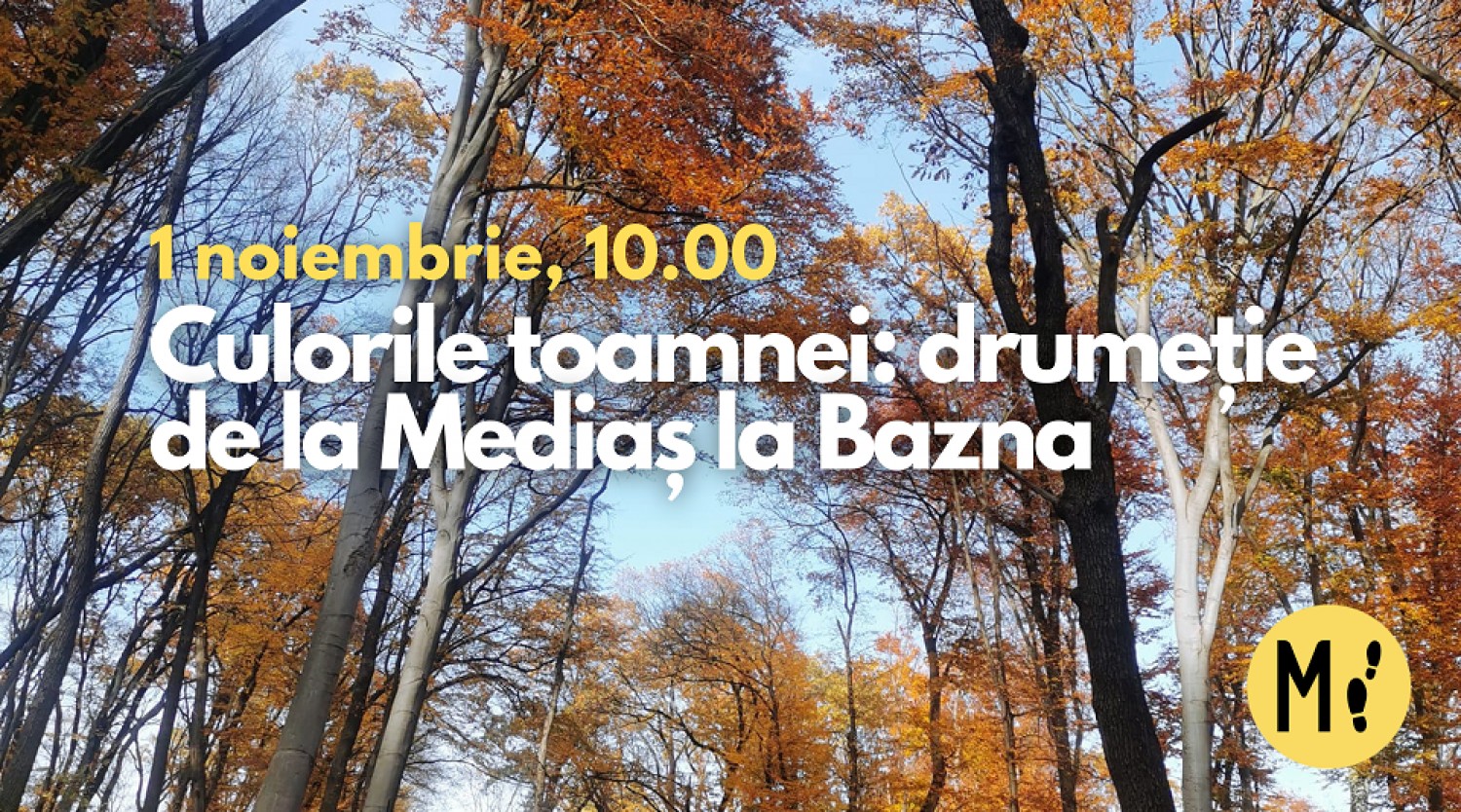 Culorile toamnei: drumeție de la Mediaș la Bazna