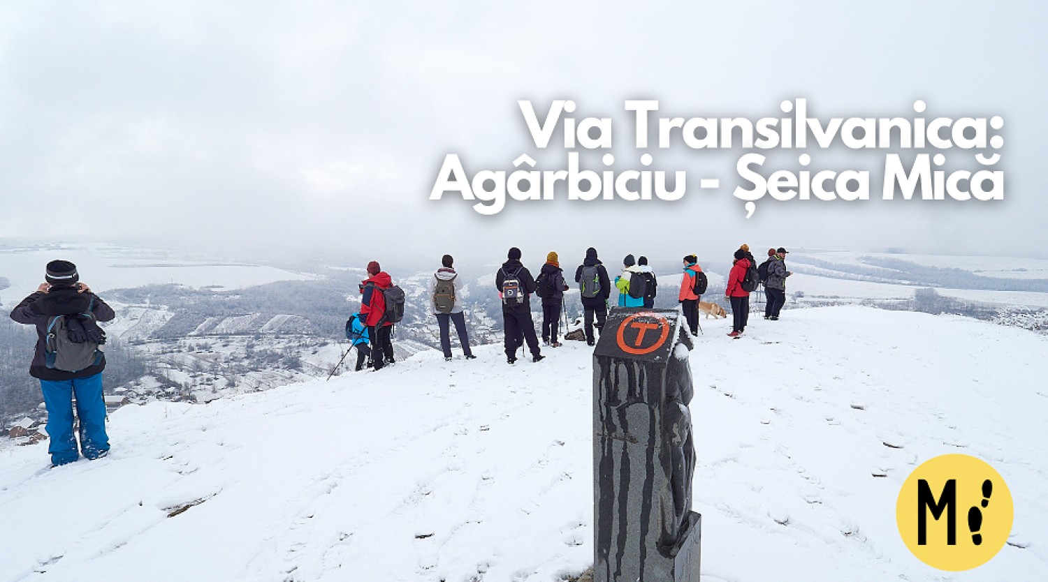 Drumeție pe Via Transilvanica: de la Agârbiciu – Micăsasa