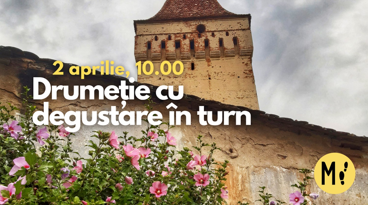 Drumeție cu degustare în turn: Mediaș - Moșna