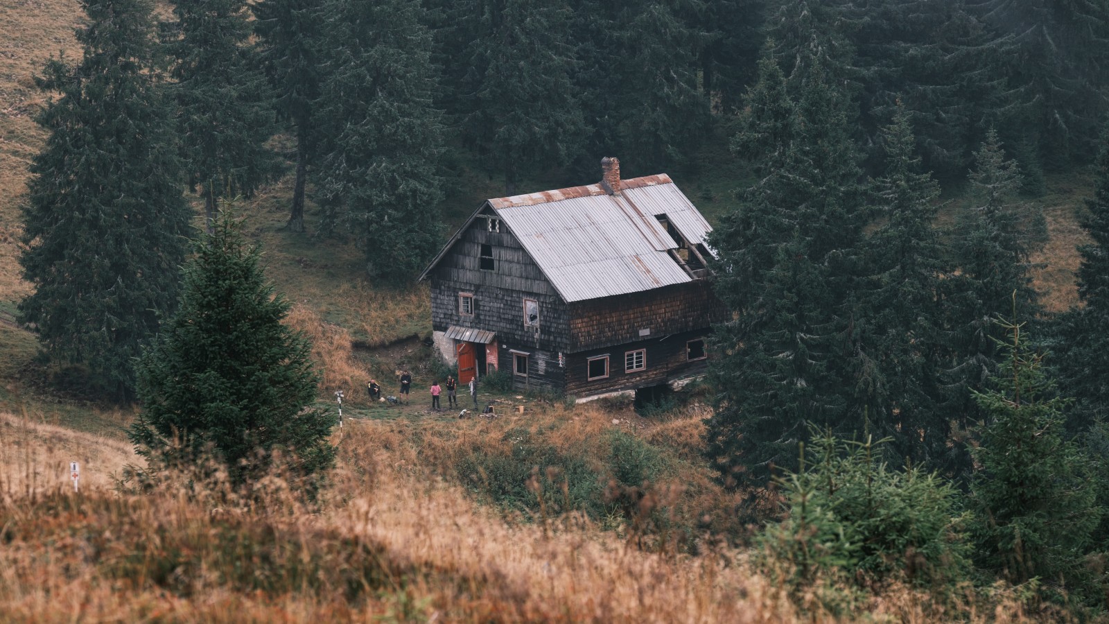 Drumetie in Muntii Lotrului Cabana si Varful Prejba