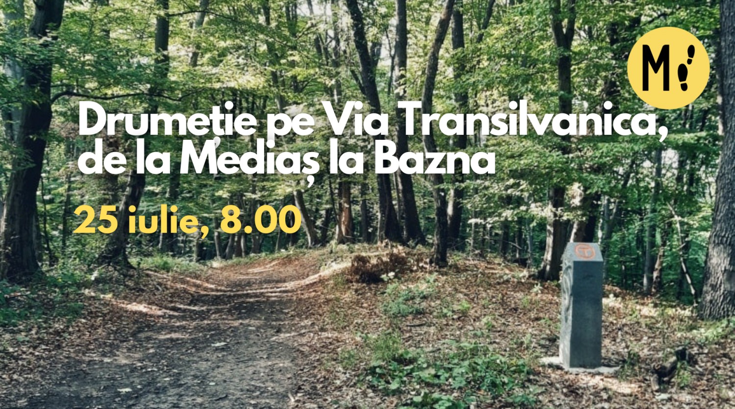 Drumeție pe Via Transilvanica, de la Mediaș la Bazna