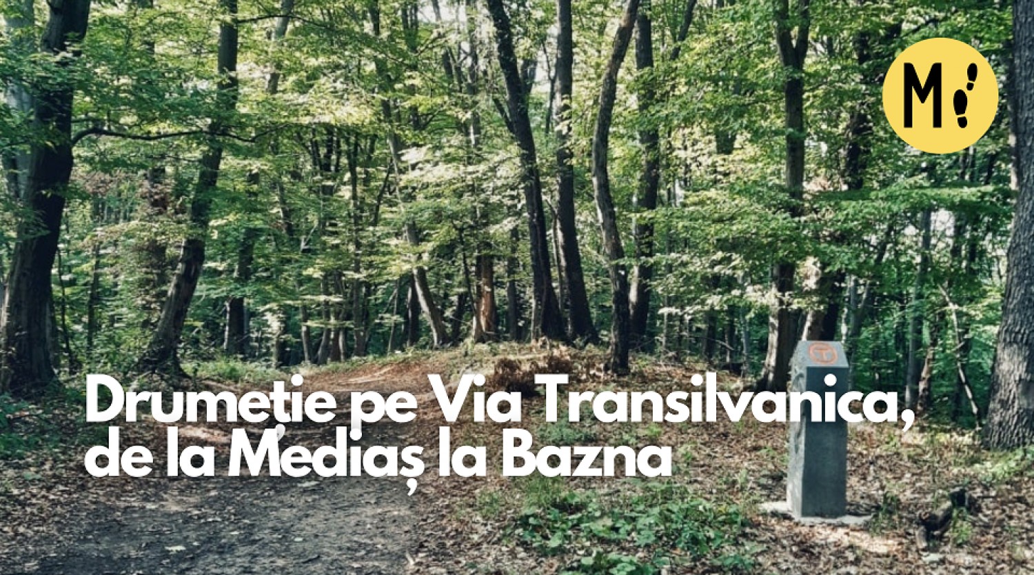 Drumeție pe Via Transilvanica, de la Mediaș la Bazna