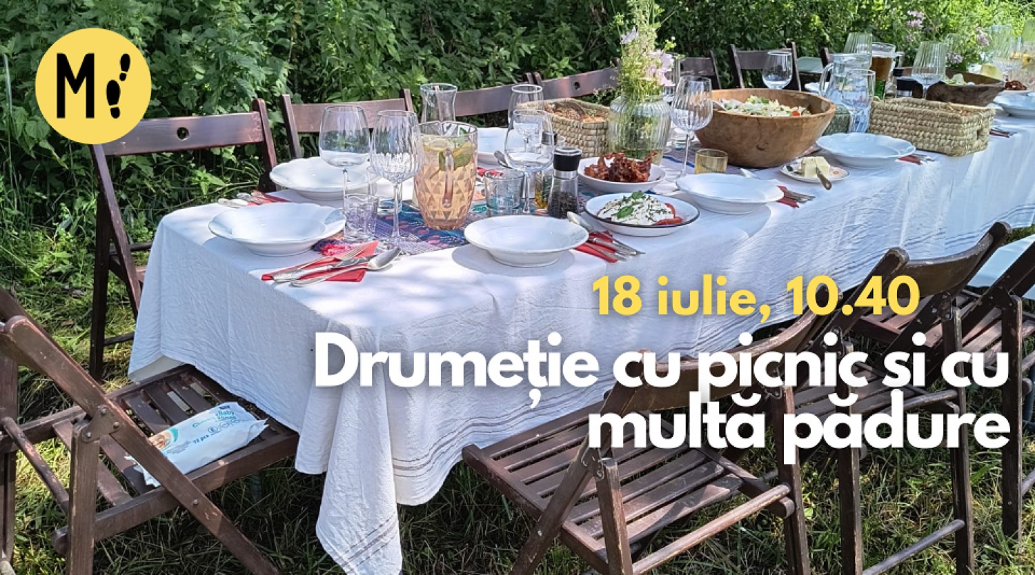 Drumeție cu picnic și multă pădure