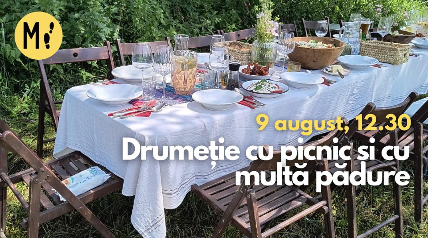 Drumeție cu picnic și multă pădure