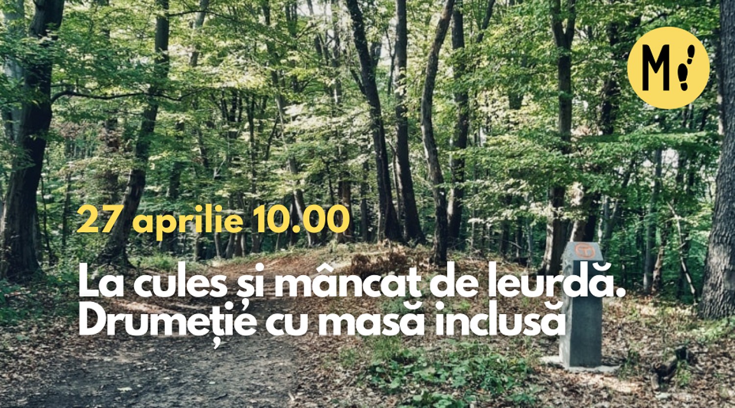 La cules și mâncat de leurdă. Drumeție cu masa inclusă