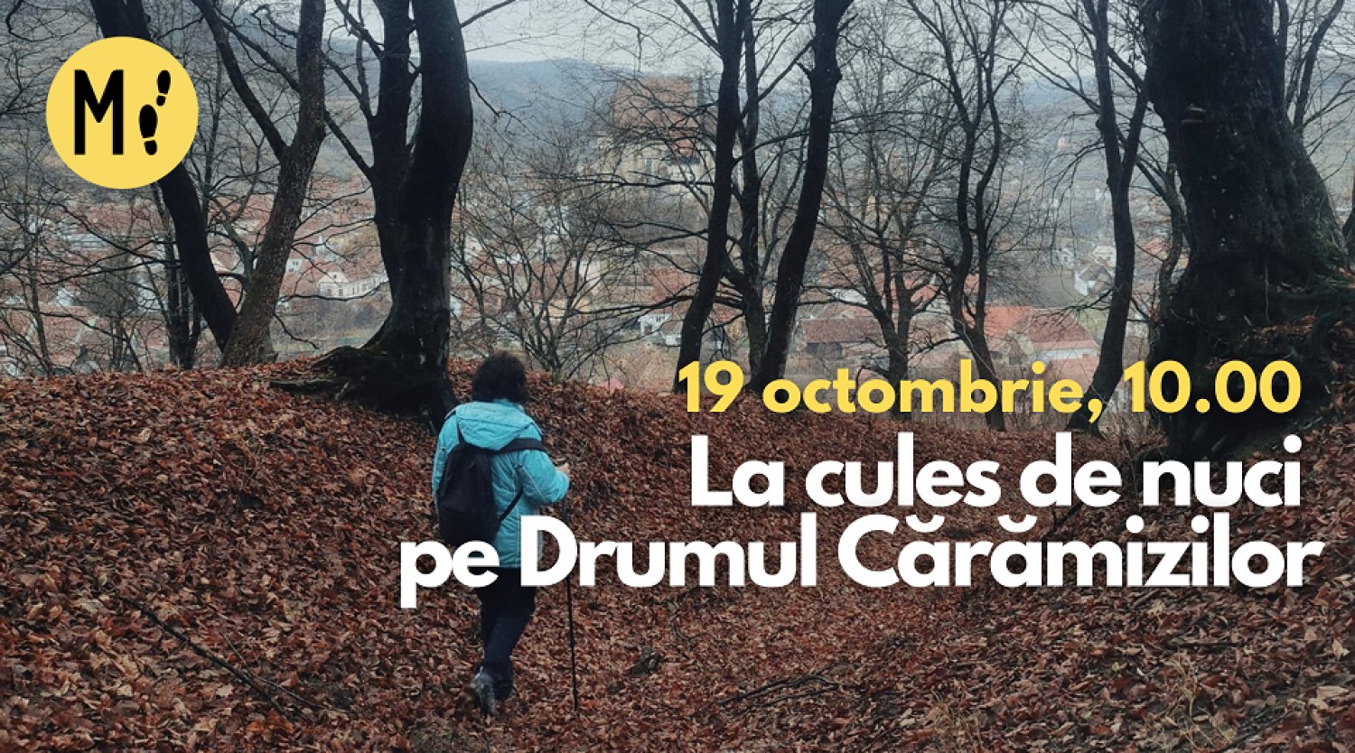 La cules de nuci pe Drumul Cărămizilor