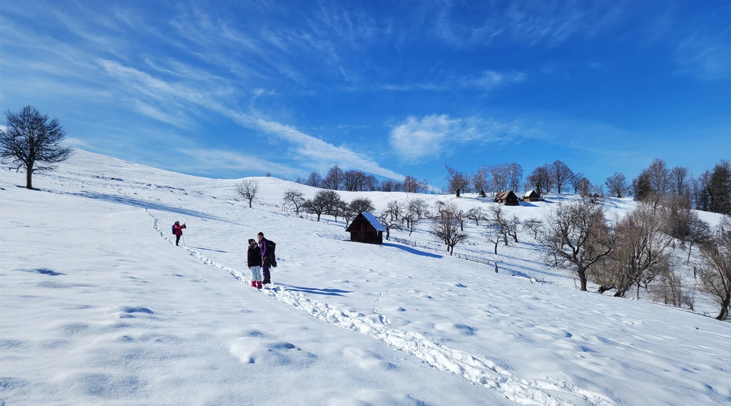 Drumeţie pe poteci pastorale în împrejurimile Răşinariului
