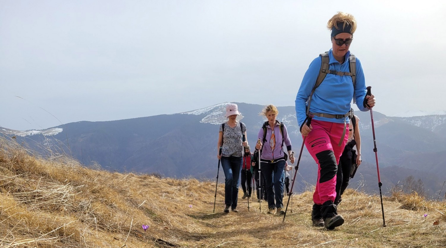 După ghiocei și brândușe spre vârful Măgura Cisnădiei