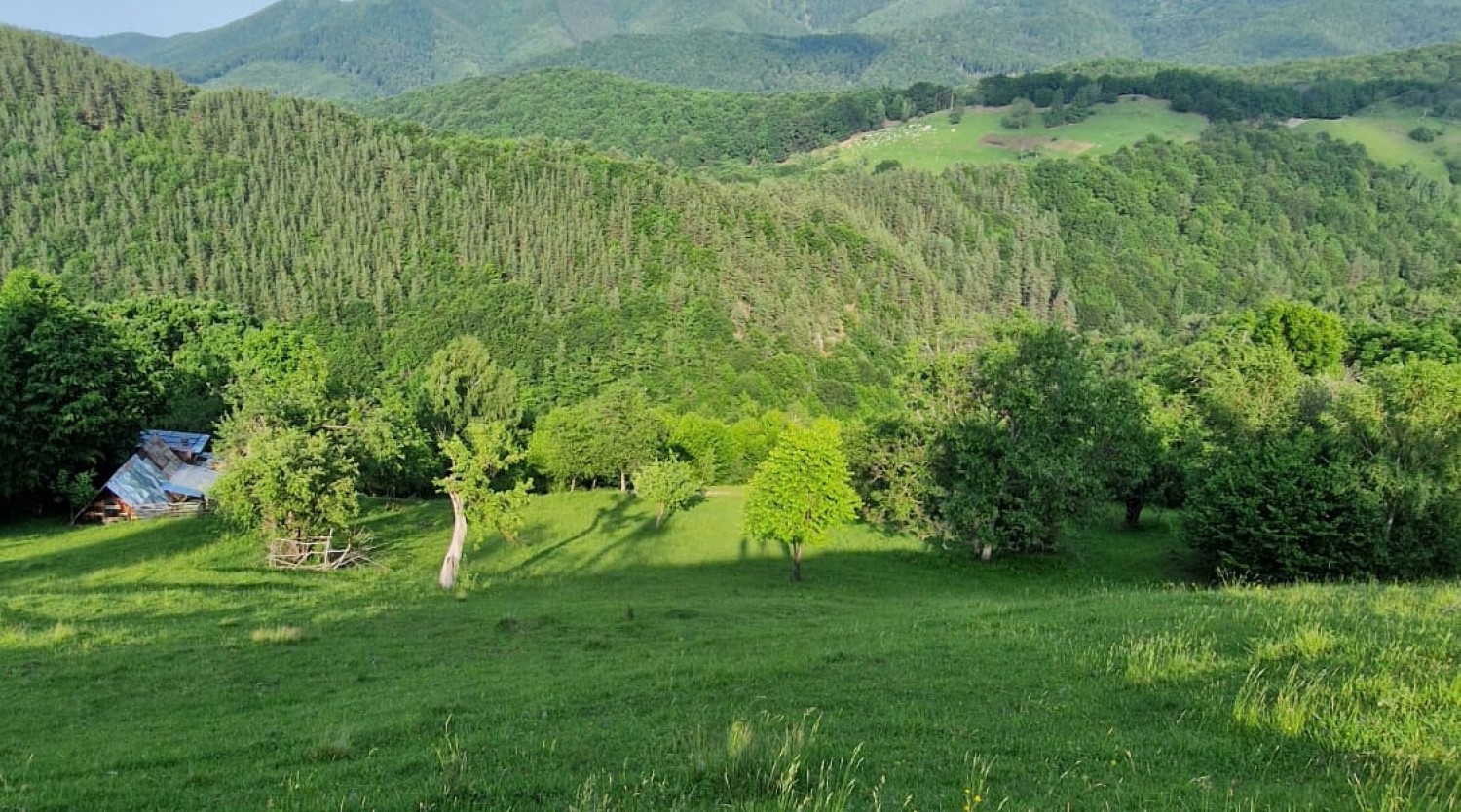 Duminică în natură – Educație outdoor pe Dealul Fusurel