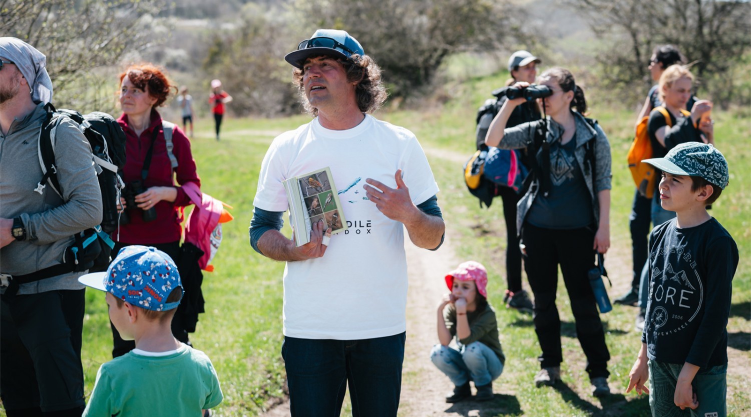 Tura de observare a pasarilor rapitoare din Dealul Gusterita