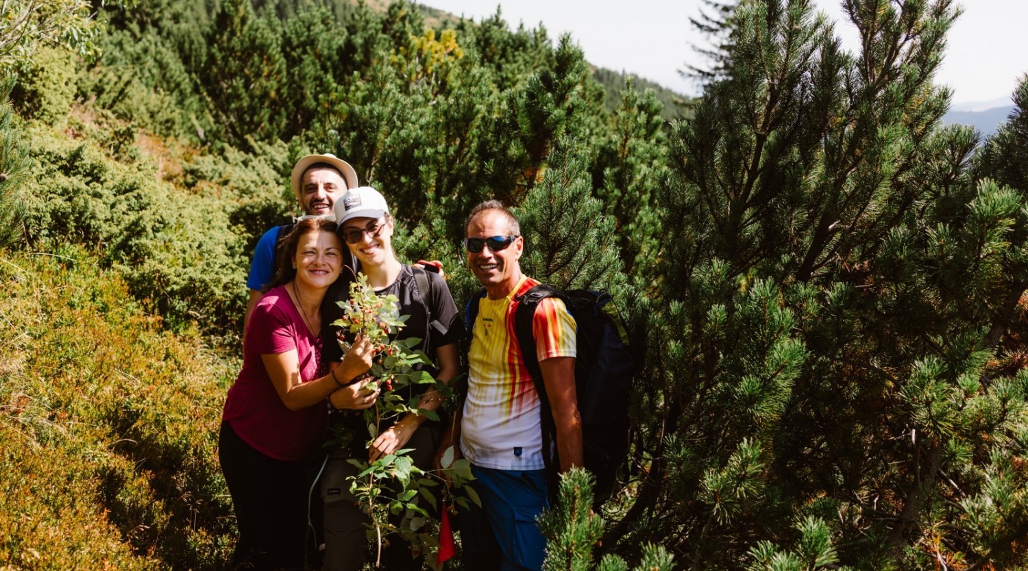 Paradisul jnepenișului pe creasta Lotrului spre Vârful Balindru