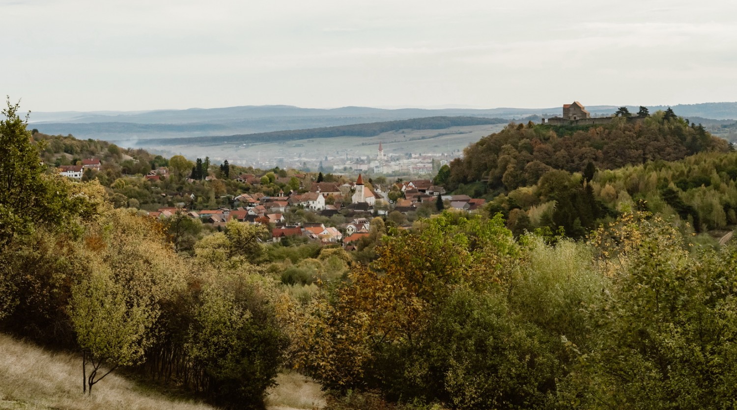 Circuit Rășinari – Păd. Catrina - Cisnădioara - Rășinari