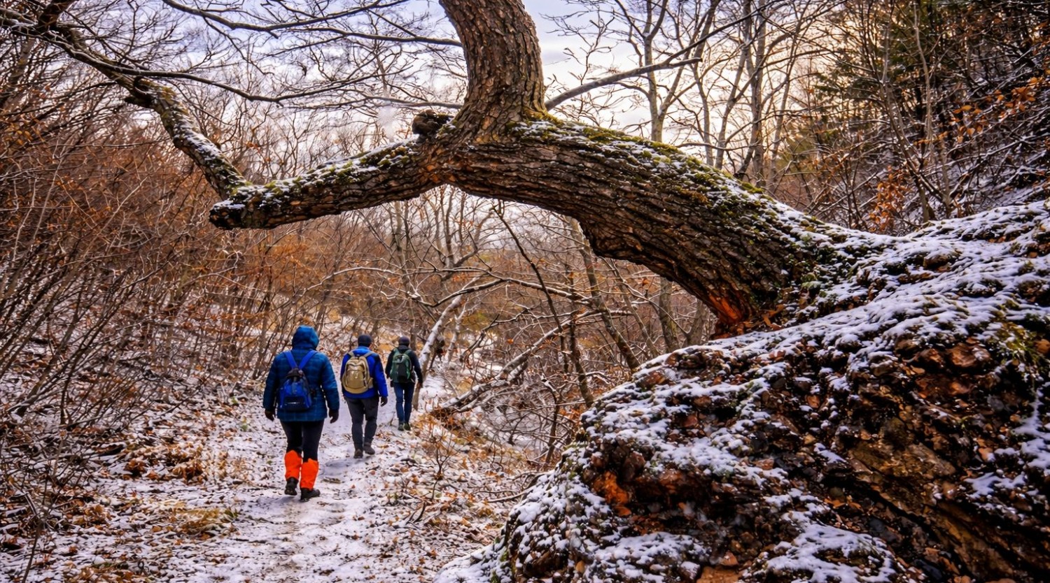 Drumeție de iarnă în Munții Măcin - zona Greci,Dealul cu Drum | 25 ianuarie