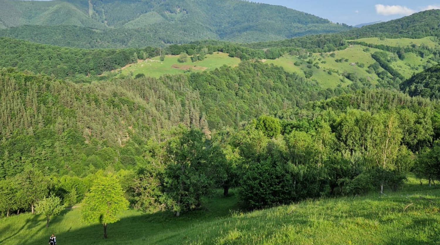 Rășinari – Vf. Bârnelor