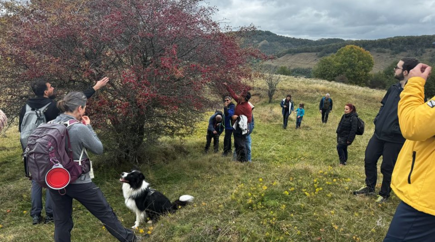 Pădurile seculare dinprejurul Dumbrăveniului și surprize culinare!