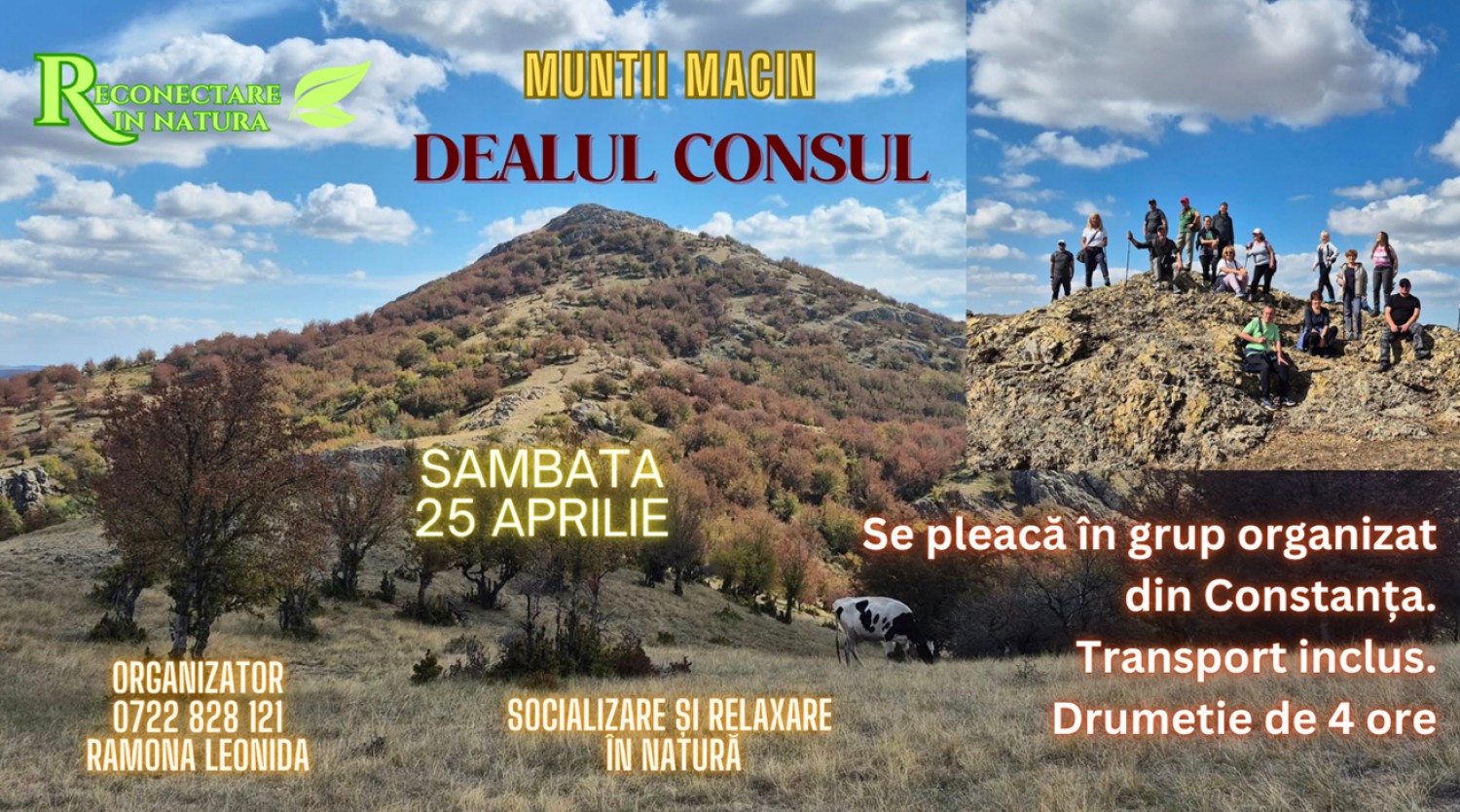 25 APRILIE: Drumetie in Muntii Macin: DEALUL CONSUL