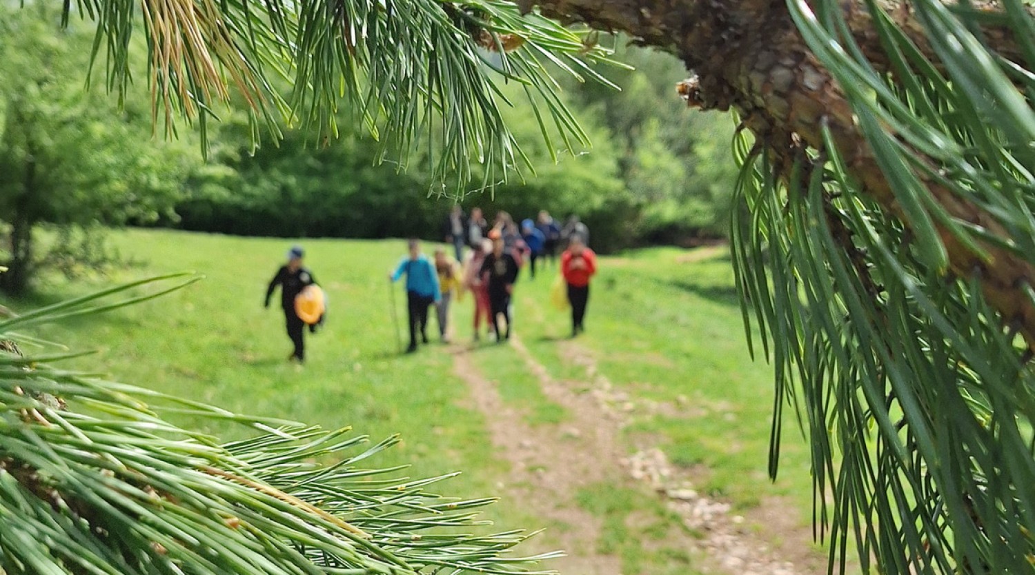 Drumeție cu atelier montan pentru micii drumeți: Cetatea Uriașilor-Rășinari