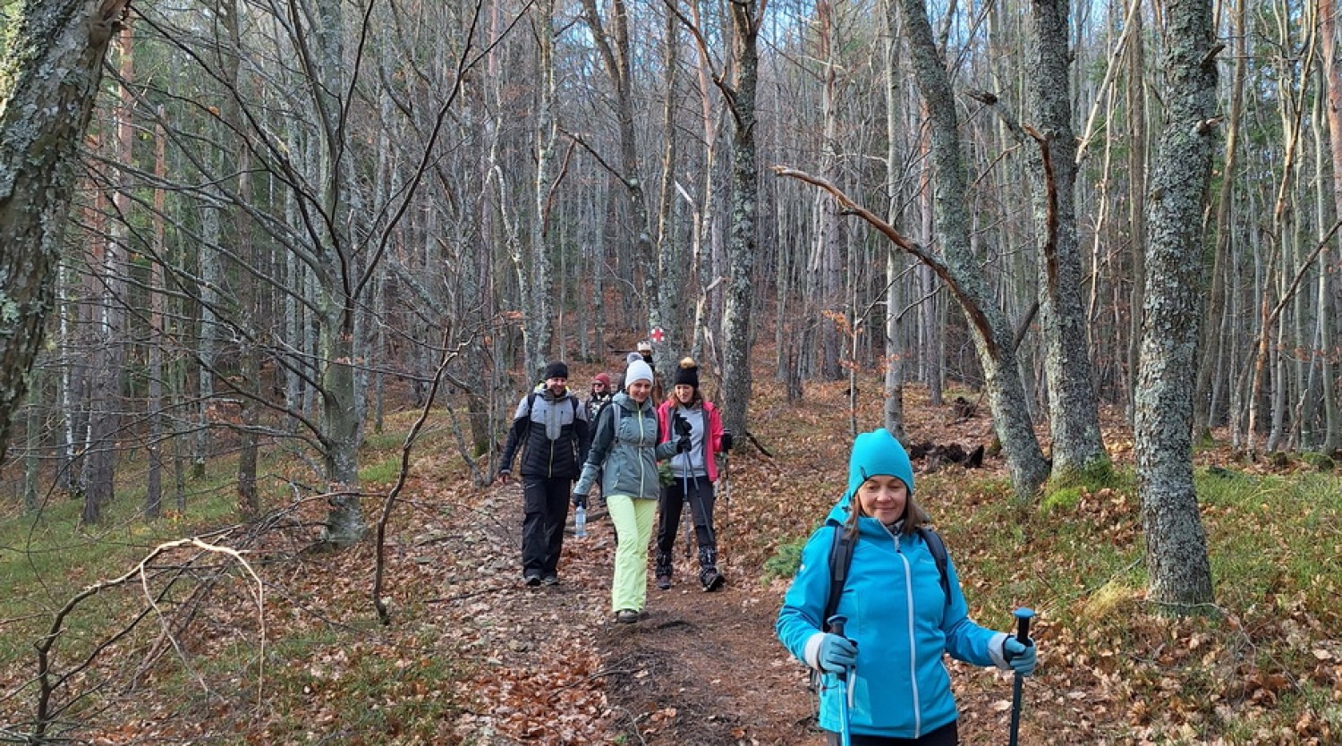 Drumeție cu atelier montan pentru micii drumeți: Valea Argintului
