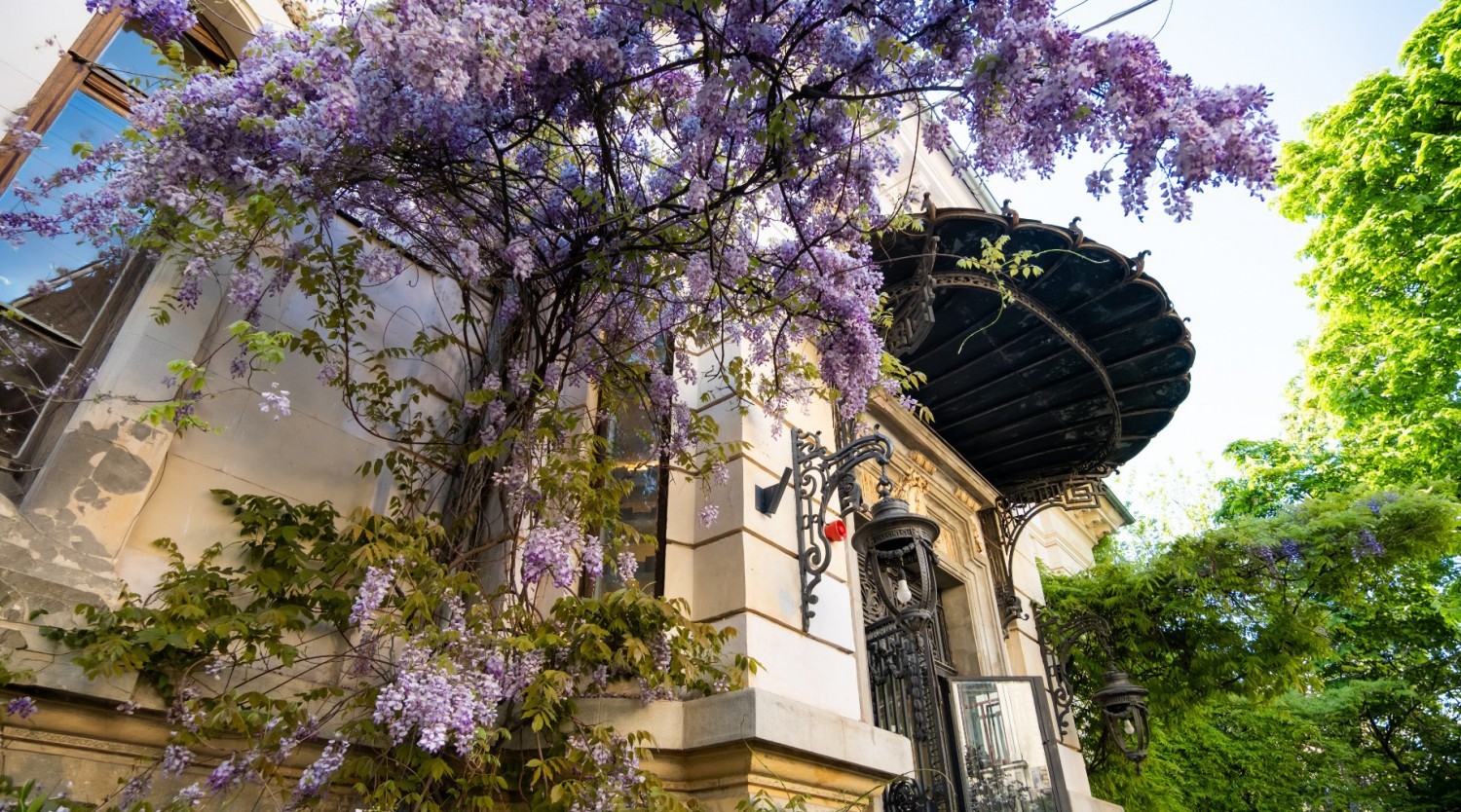 Explorează Bucureștiul: la pas prin mahalaua Mântuleasa